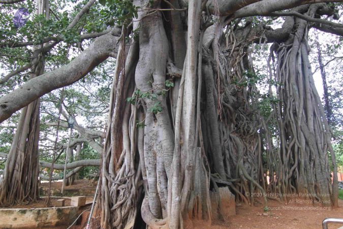 20140819 Photo 1055 1lMjFtjIruuFelG-0 Xrv-SoI9pSXPskS.JPG