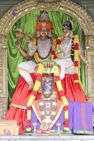 20140819 more 5733 CMP WM.jpg