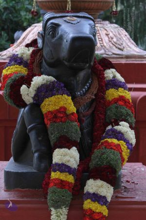 20140822 Photo 1000 12F10OSeMJ5fu2cRhiaoosrX2SQFksNHB.JPG