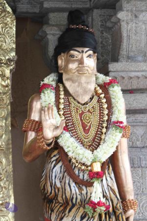 20140822 Photo 1009 161iX29--fEwyKT1yv Fx8Lb70JSf9h9y.JPG