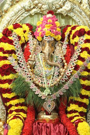 20140822 Photo 1022 1Kx2Xiz0NHdTpINrzHmVAayrS0S8H-EDV.JPG