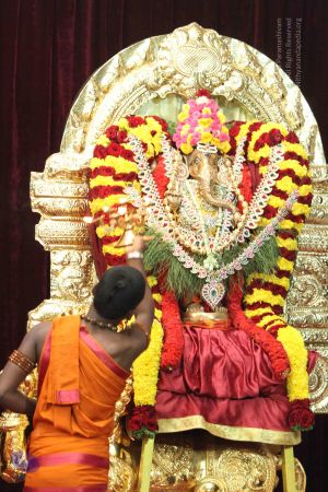 20140822 Photo 1025 1-g0-yN1ltSrqS mO fTb9w63NZqmvMEg.JPG