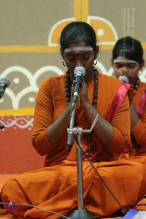 20140822 Photo 1036 1i2mt2 6mimbFlgQglNhs3o6IBTVSLrSv.JPG