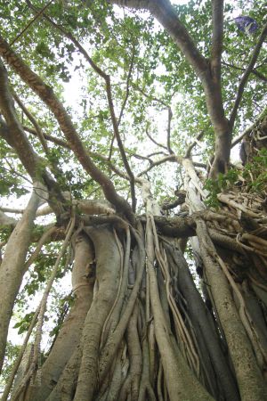 20140824 Photo 1025 14kR2jOsyv3JuTYd qHk17dl5PLMkSeCY.JPG