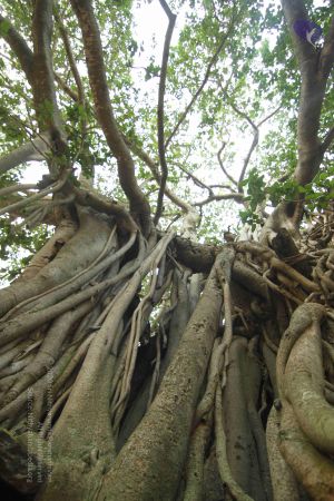 20140824 Photo 1026 1PwQA2O8AsC1ZHAqBmsb ICpsoXy4iBIc.JPG