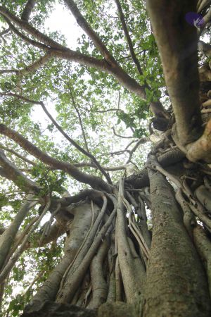 20140824 Photo 1027 15-jOY1 yTPH3AVSG8c09- 1s9kKjhEUL.JPG