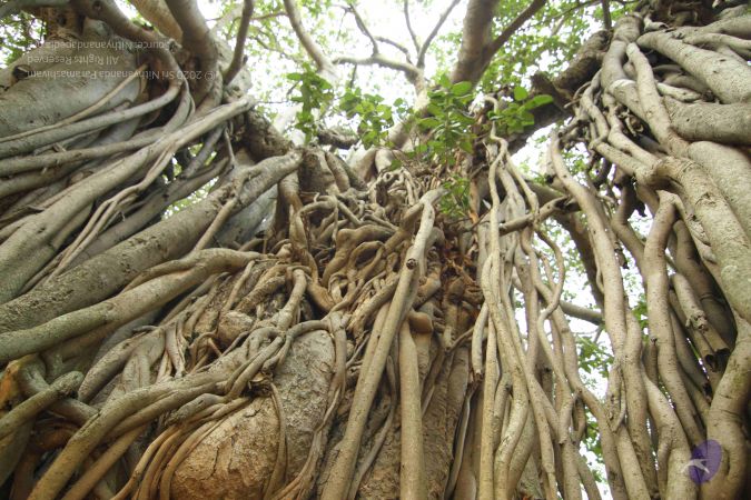 20140824 Photo 1029 1ij3Z4YqGXEfyvXcYpPnCvQkQ7na LzKr.JPG