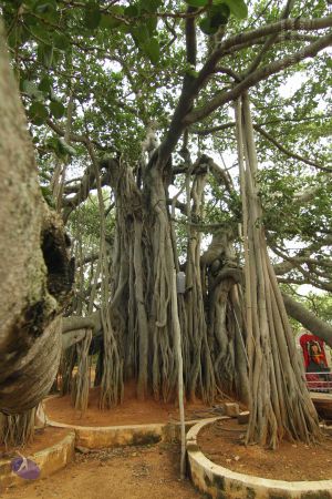 20140824 Photo 1031 1KNUkH1F8qXEH5bm7hVEciGpf2Oa-AmPI.JPG