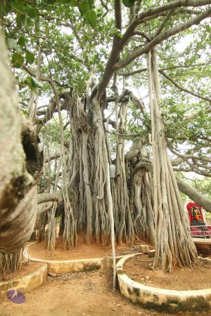 20140824 Photo 1032 1mb 9zjr9p7yANtJQ 7s1rPgGvnoD8PXP.JPG