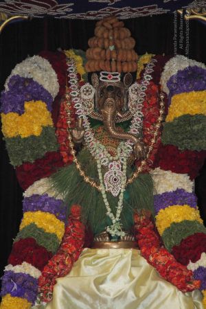 20140824 Photo 1039 1jFe5Cz7J5AKdnEE5zGpNqcbOUHNzrIXN.JPG