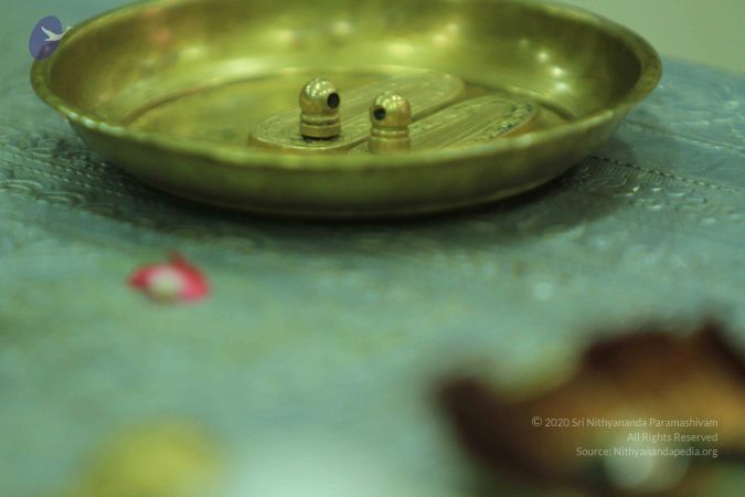 20140824 Photo 1047 10V9vnC1zKFIKit0 WYGC26JtPy BuP3b.JPG