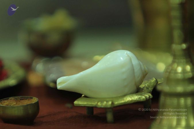 20140824 Photo 1048 1hd5HHmSoFpUTMCzYjUhX-4nceYxyUSo9.JPG