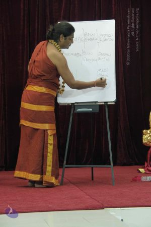 20140824 Photo 1084 1LQvxWTA7-7ROzrBDdoQHpoFLTectum94.JPG