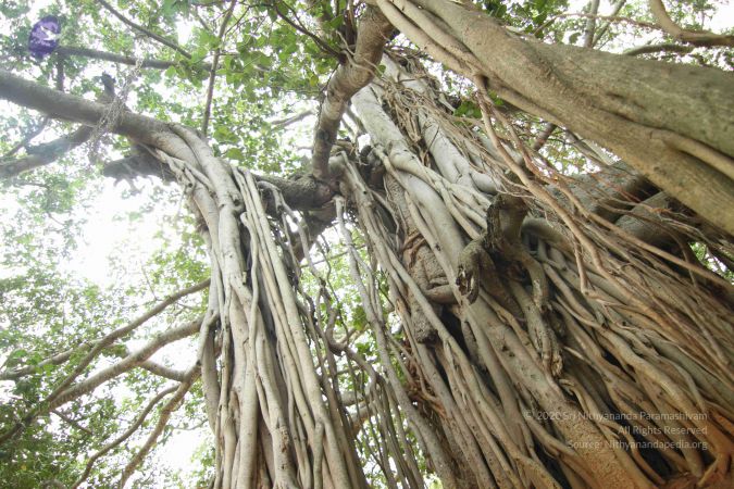 20140824 Photo 1193 1A3D7pM-xHyxS4ggJGGIVdJmjbotyKT64.JPG