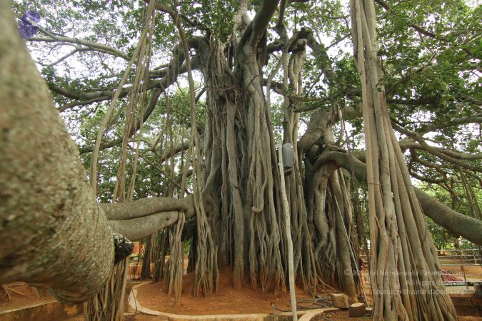 20140824 Photo 1195 1OY4ETDiqqY51qs5iw5FERovIuC8UEhRs.JPG