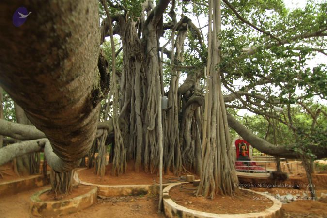 20140824 Photo 1198 1hUIDshtDQHyALBcfVsXZaomE3yFKCwbe.JPG