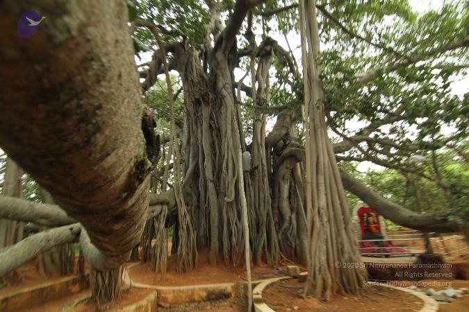 20140824 Photo 1199 1DZSUSYMzhg2FctUafebWmUE0stSvvwwz.JPG