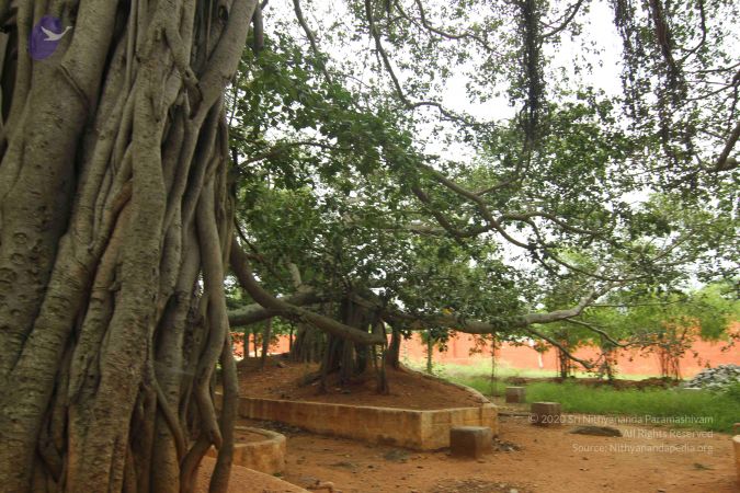 20140824 Photo 1202 1NllLw-Oc yt45r71PRnC 1ruvwszPRWT.JPG