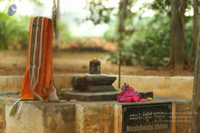 20140824 Photo 1204 1l6-HoxpEVdpNz2sDhkVeL2u6 OelvpYF.JPG