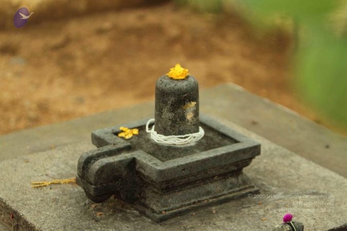 20140824 Photo 1205 1jOjtgxEaDGrz6IfezdhO6BjQwmtxCcv2.JPG