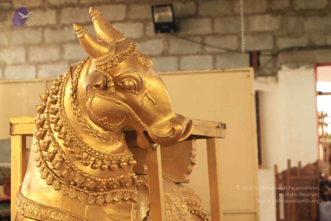 20140824 Photo 1292 1wvXJX5rhBVl-CiuGEYdQ4ASkr3Fr23jR.JPG