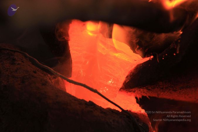 20140824 Photo 1321 1QA03wnj O8FTSe36vbpJ4XzNqgRb3-x-.JPG