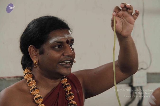 20140824 Photo 1450 1Yg-BX7KDxv7nAHldIkiOTXfB81a1yA52.JPG