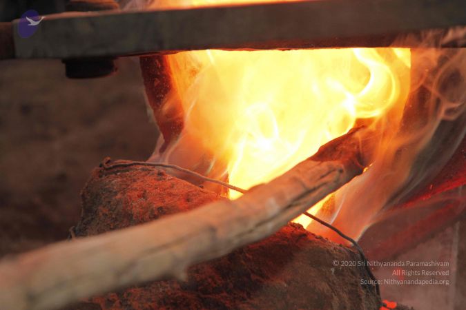 20140824 Photo 1458 11MLqRsAxNZGWywytL9-vB5x7imUdVT56.JPG