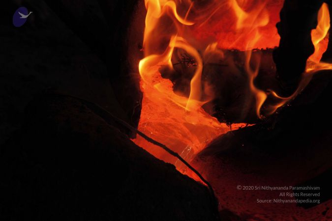 20140824 Photo 1465 15Tf3JwGat9vrNLS6Ca8aWnMhRQWTdsEx.JPG