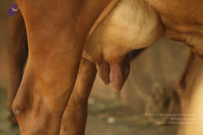 20140824 Photo 1873 1CgQ3D8E0eBRGEuYANj OQjCelu33eqzr.JPG