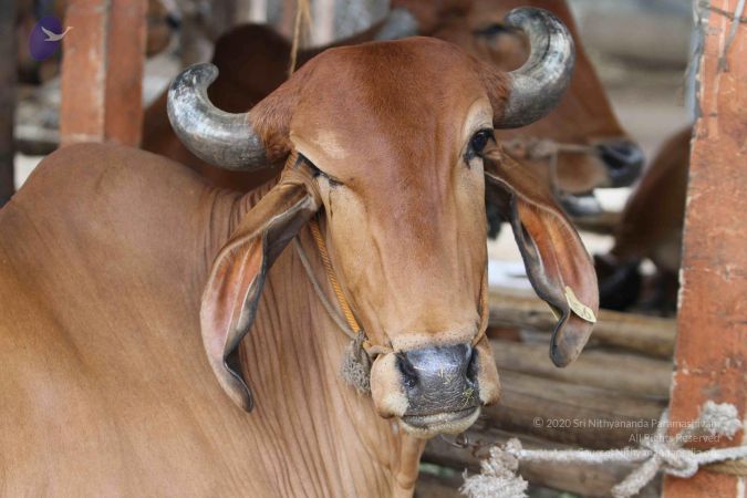 20140824 Photo 1874 1sXBvZYPfEstWDQT76JEWf1UesvOnWC-9.JPG