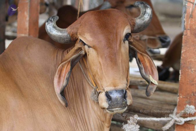 20140824 Photo 1875 1CF tSdICeJMcv y3WmPeTd8j6BMiSaSo.JPG