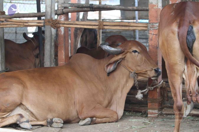 20140824 Photo 1876 1wA2Wvs7dXEPUz7tF9OTMN6-MhYYbovPa.JPG