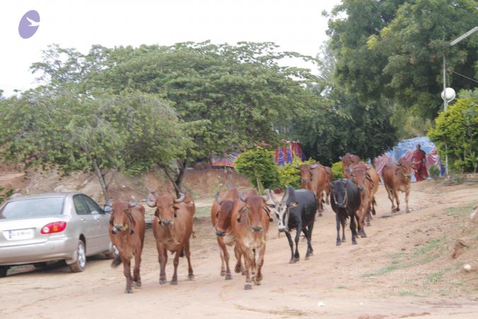 20140824 Photo 1878 12PS78lI1x3XXMoPlAbKIRCVt7MCvE6aS.JPG