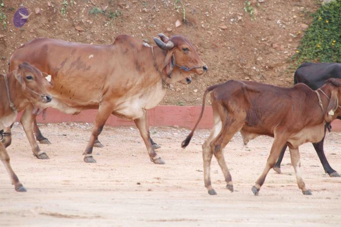 20140824 Photo 1880 1R-f51 mKE7m2b4U2gmHKINPPA1hyXi7H.JPG