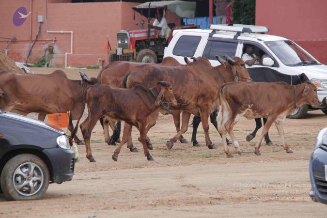 20140824 Photo 1881 1kDzVvAZaV2NZK0KfIrg6RYXhmJ0OvTvO.JPG