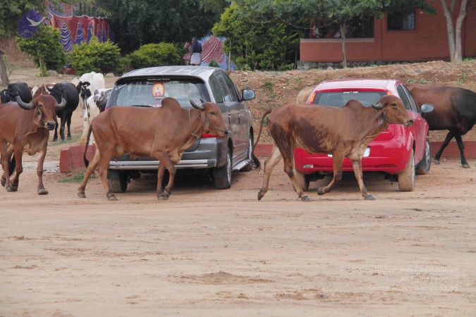 20140824 Photo 1882 1nxeWwB9a6h7dMPLJiUSP3M9Sw4C1u5Lj.JPG