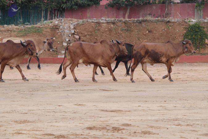 20140824 Photo 1883 1ac6qwdMTZ6yE4hJYpLGtem4cggmWFA8u.JPG