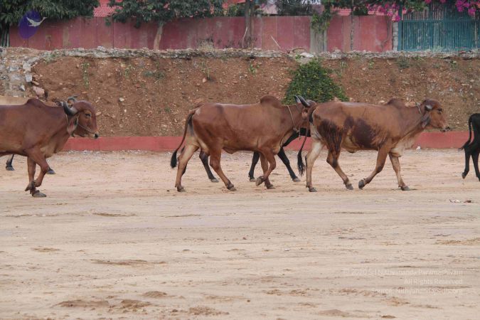 20140824 Photo 1884 1wA3m0R8Fc8mErk0tcl5M9CHnMzzlbON8.JPG