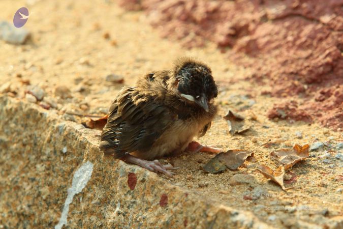 20140824 Photo 1890 1Q5BfMhqXTfFdPhN43oG8NHfWU8FjVcJe.JPG