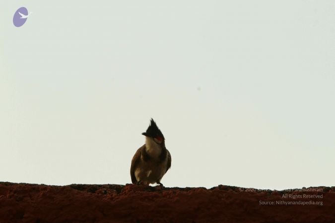 20140824 Photo 1892 1PZYa2kUYDHGyoEHhXCdeBKMDoJUyvuV9.JPG