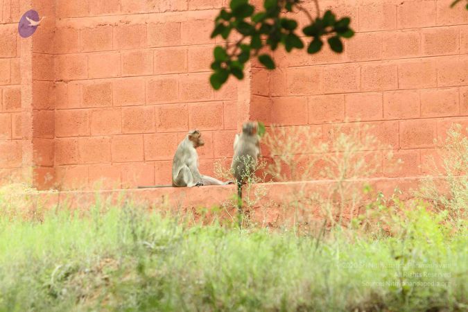 20140824 Photo 1896 1tnvdsIBbN4VVj5WaInt3z0Gh8cR8 Da3.JPG