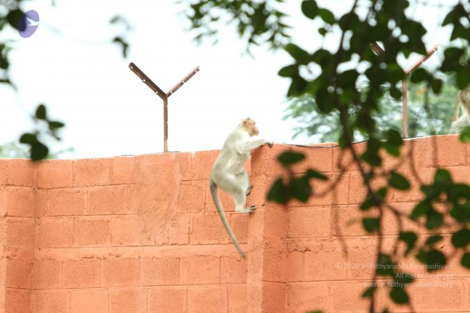 20140824 Photo 1897 1TeABpYXG3WsHdFBLOMVFE UT87WIq0Rz.JPG