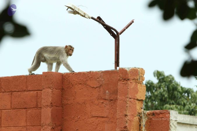 20140824 Photo 1898 1sJJR4v3rLzZQ OhDfOpbgCOl1Dgom8tW.JPG