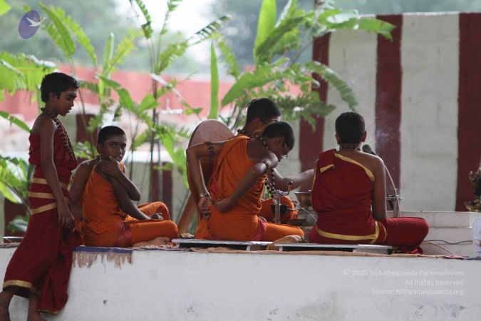 20140824 Photo 1903 1sDb7AlMja7Mna6LkpVc9XEfnuS1j2Qtx.JPG