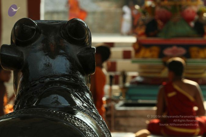 20140824 Photo 1914 1pghEJyb6PjrymUT0SjsfFaESpKsnLAzA.JPG