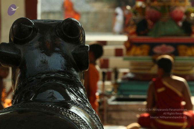 20140824 Photo 1915 1rR9fLpaO2Wvhzg1awP5t88n2euizBwh2.JPG