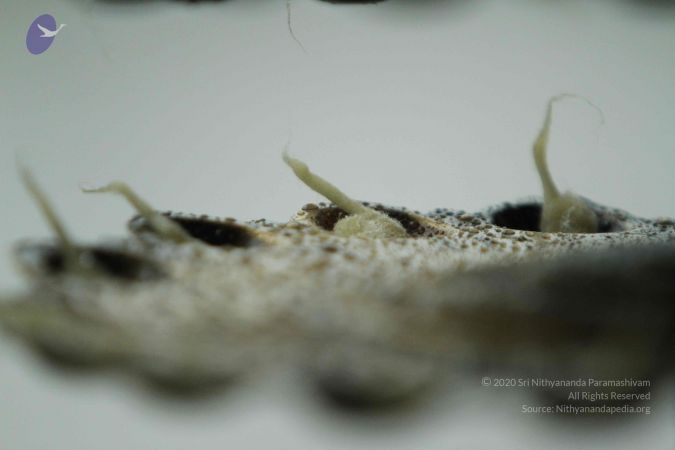 20140824 Photo 1921 1NoiiIzi9XblVhJ6WtmHrlSITZ2YHQjmE.JPG