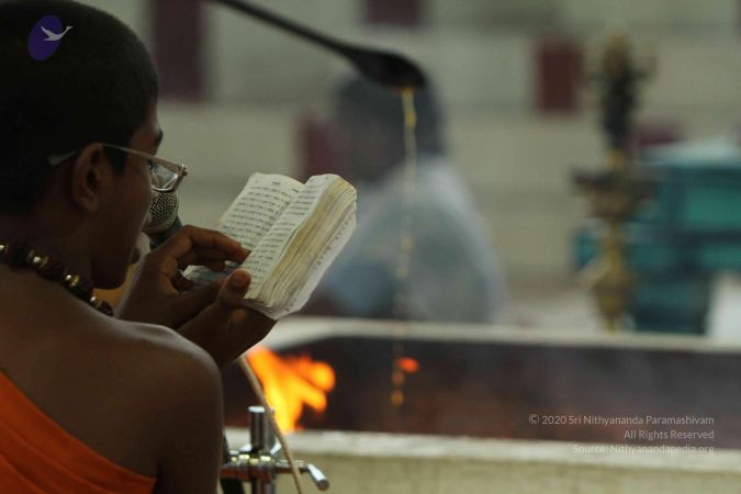 20140824 Photo 1934 1PSrgaK3bE7iyOxFyz51NfXrxtOfHFXPM.JPG