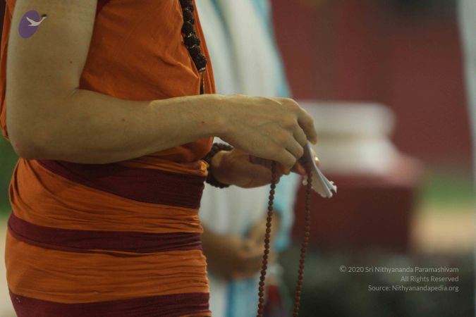 20140824 Photo 1940 1u29Ddh9ek5XOkTGx7fziLLOzbNK0XEmN.JPG